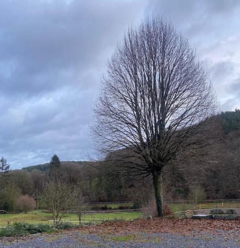 Le Ranch Des Aguesses Villa Andenne Exterior foto