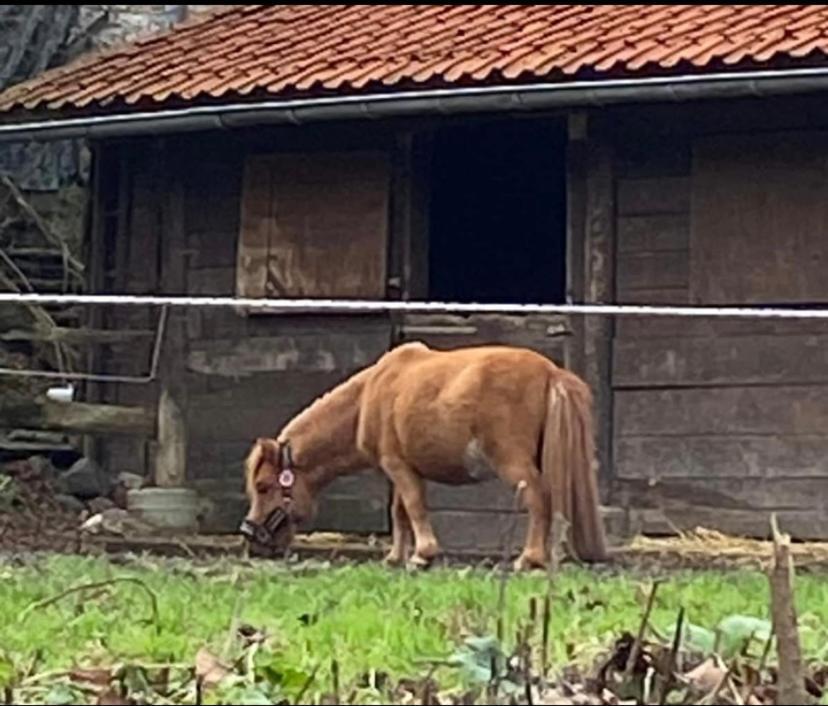 Le Ranch Des Aguesses Villa Andenne Exterior foto