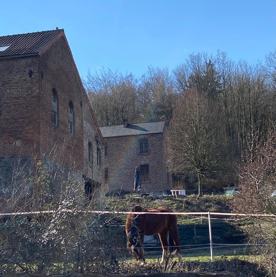 Le Ranch Des Aguesses Villa Andenne Exterior foto
