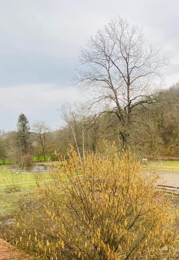 Le Ranch Des Aguesses Villa Andenne Exterior foto