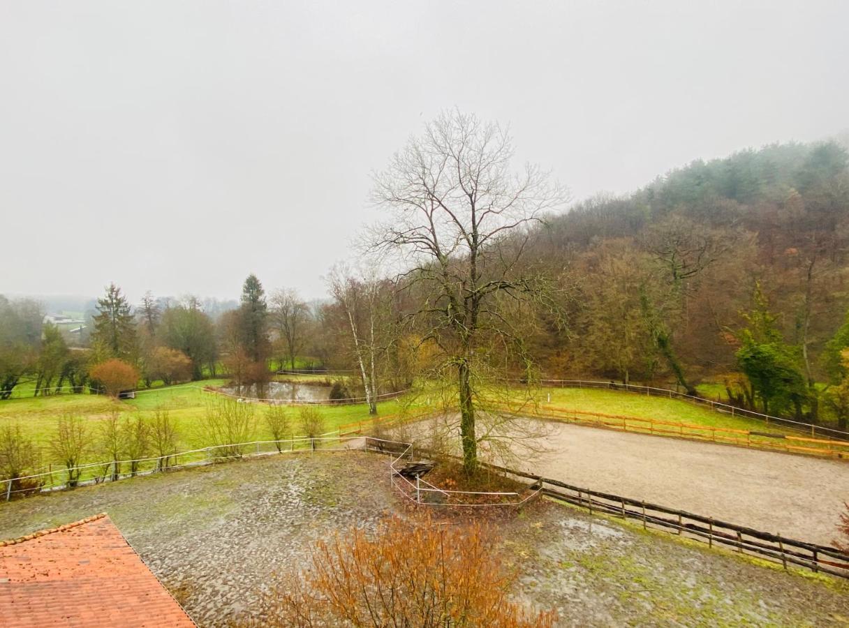 Le Ranch Des Aguesses Villa Andenne Exterior foto